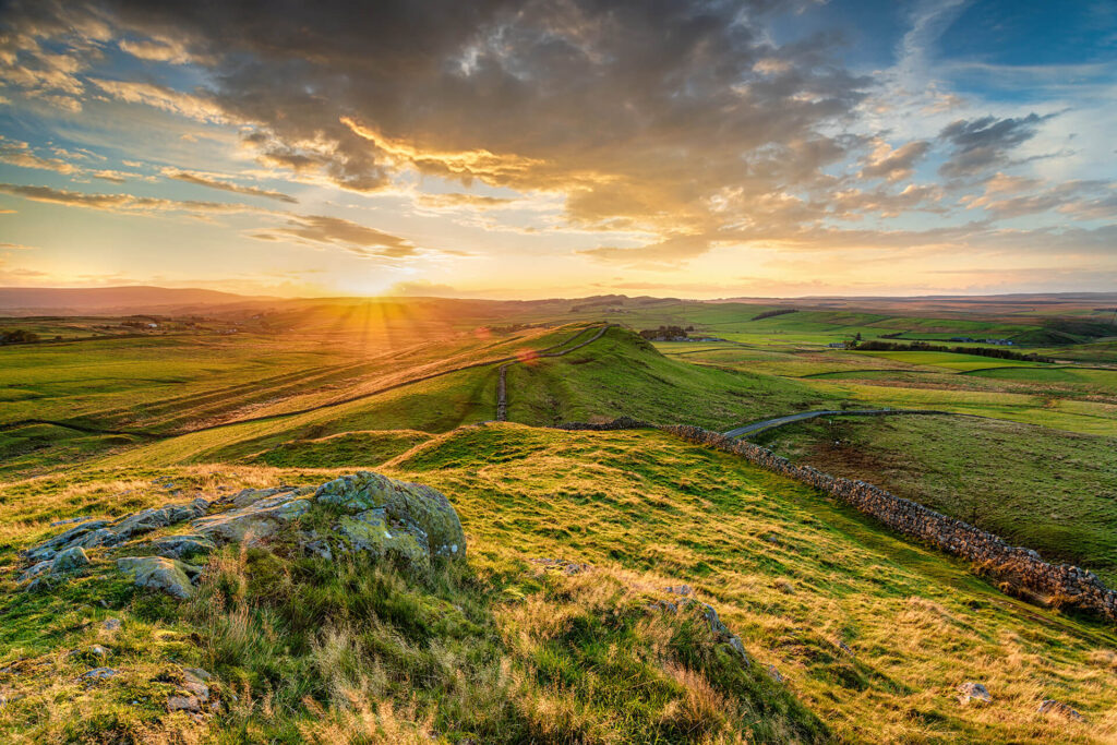 image of green fields